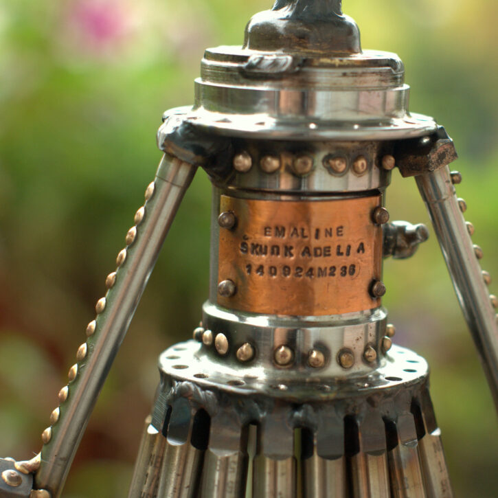 Emaline m236 - Image 9