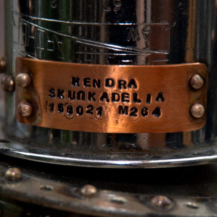 Kendra m264 - Image 7