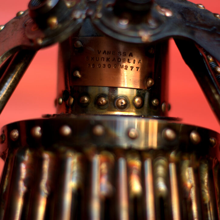 Vanessa m277 - Image 7