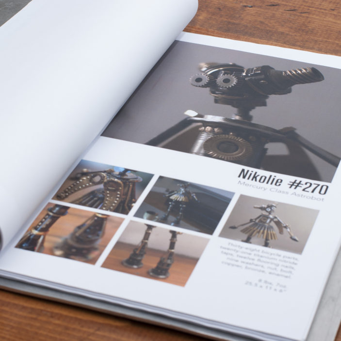 portfolio Nikolie