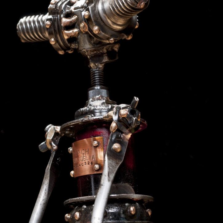 Finch c326 - Image 3