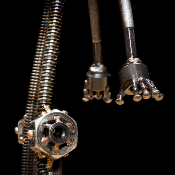 Finch c326 - Image 7