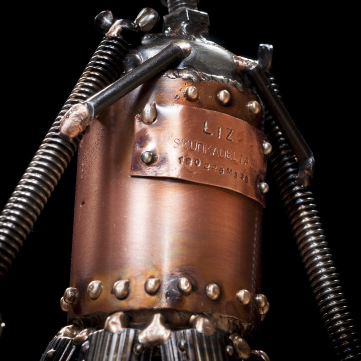 Liz m338 - Image 2