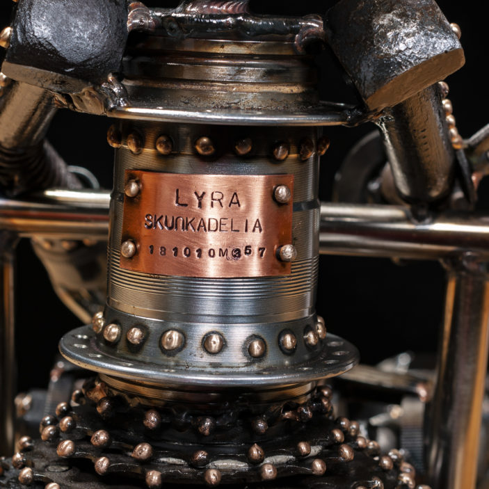 Lyra m357 - Image 11