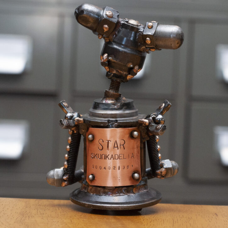 Star i381 - Image 5