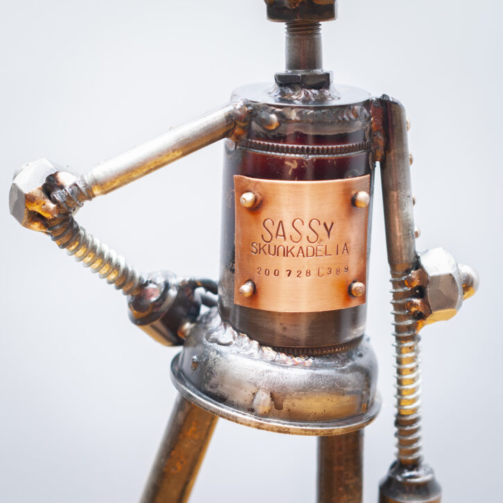Sassy c389 - Image 9