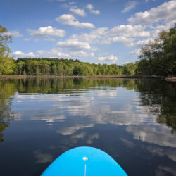 paddleboard on the Sudbury River